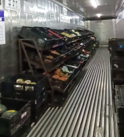 Harvest to Home: Reefer Containers used to in Preservation of Fruits and Vegetables
